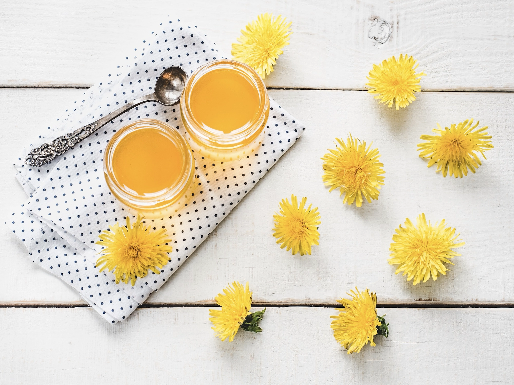 yellow-bright-dandelions-flower-honey